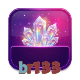 br133